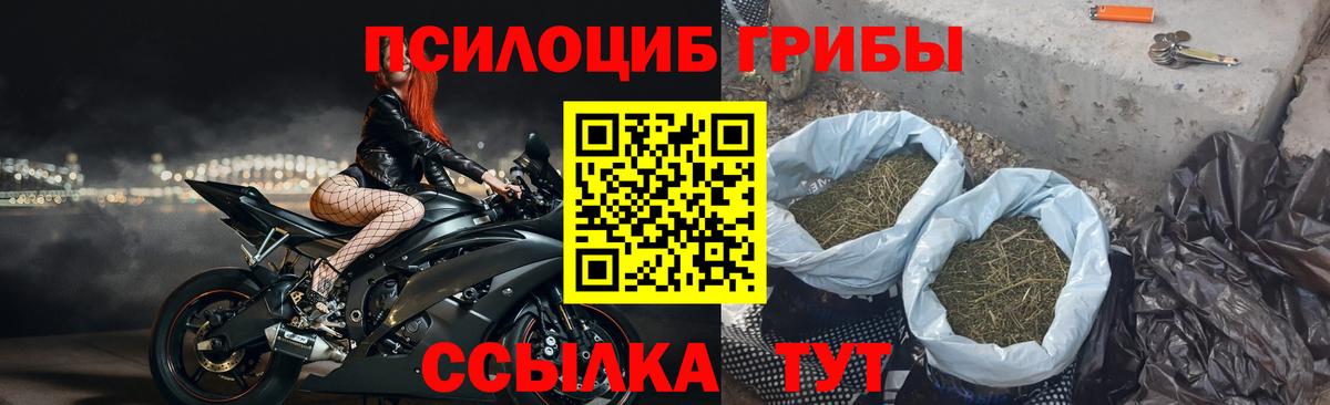 Псилоцибиновые грибы Psilocybine cubensis  что такое наркотик  Кропоткин  Вход с VPN 